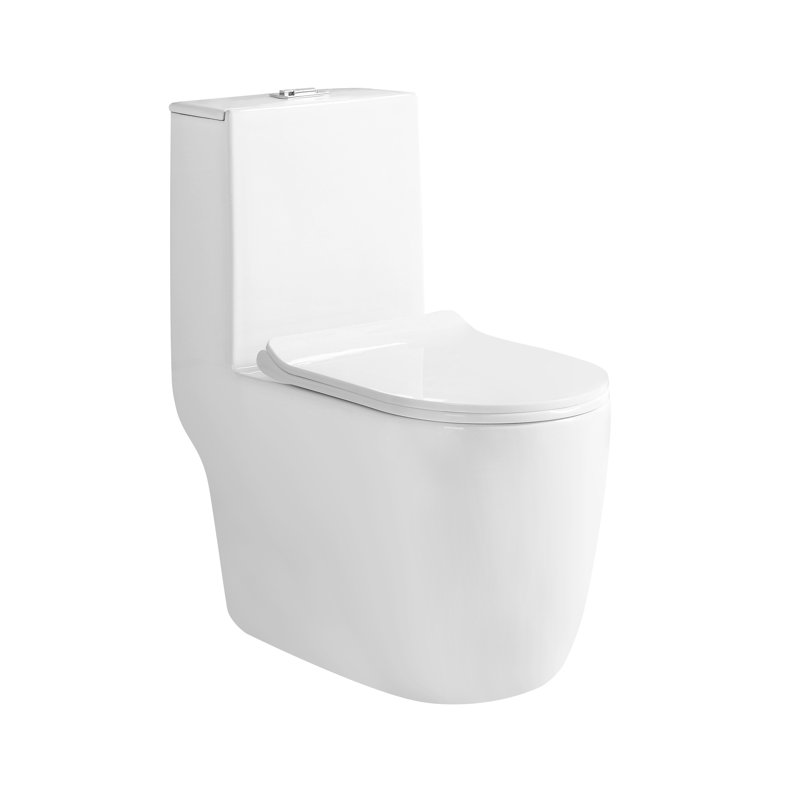 Best Toilet Reviews 2021 Check out These TOP 12 Choices!